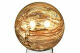 Colorful Oligocene Petrified Wood (Pinus) Sphere - Australia #309228-1